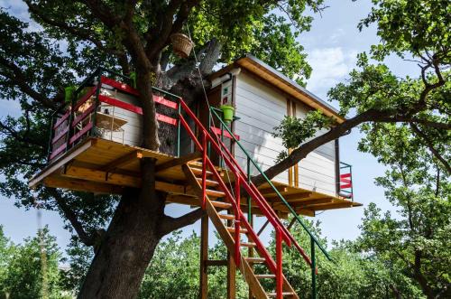 Lentella House | Casa sull'Albero