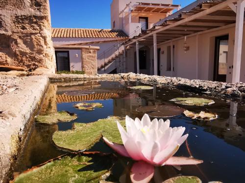Favignana House | Casa Vacanze Senia Del Rais