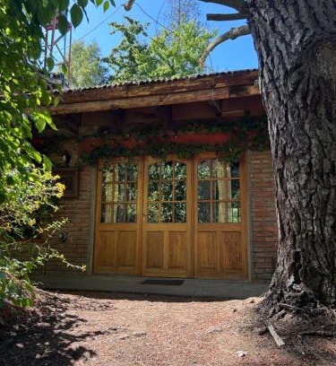 Barrancas House | Casa Vivero