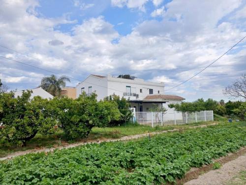 Deltebre House | Casa Xafandoles