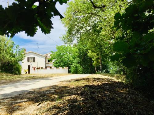 Marciano House | Casale le Querce