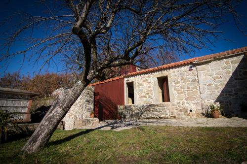 Macieira de Cambra House | Casas dos Avos