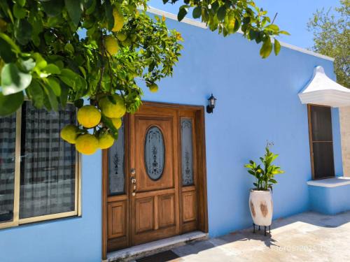 Centro House | Casita Azul