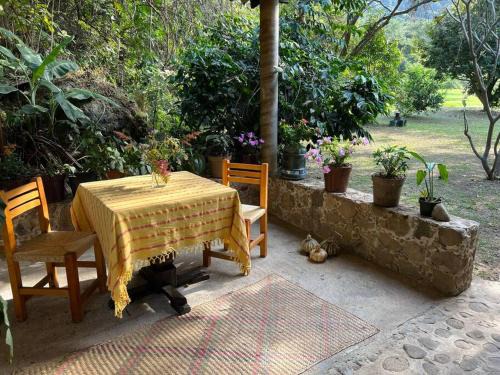 Amatlan House | Casita de las Hadas