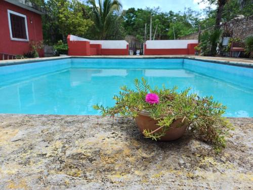 Merida Villa | Casona Santa Cruz Palomeque