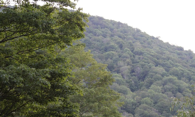 Shandaken Hotel | Catskill Seasons Inn
