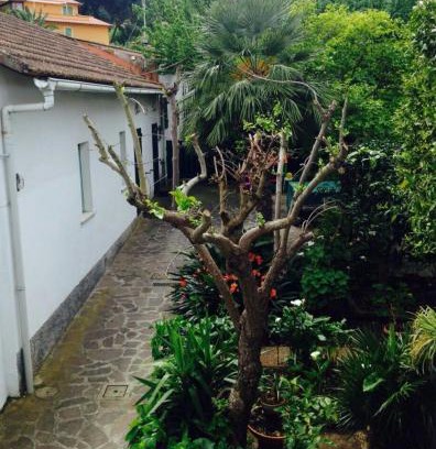 Cavo House | Cavo Beach 2
