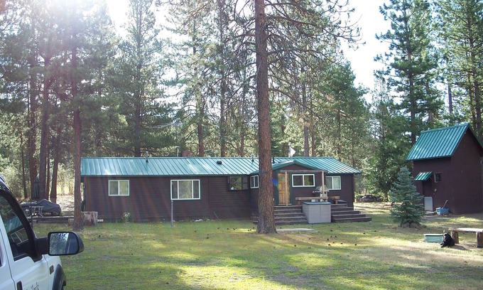 Dairy Cabin | Cedar Cabin nestled in the pines