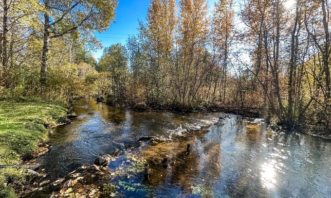 Harrison House | Cedar River Home-Pet Friendly!