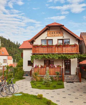 Gura Raului House | Cekan Family Guest House