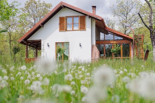 Vaideeni House | Cerdacul din Livada