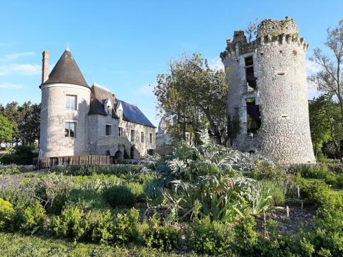 Saint-Bauld House | Château médiéval avec piscine privée et jardin, animaux acceptés - FR-1-381-410