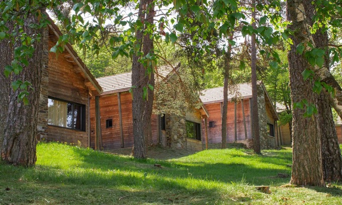 La Bastide-Puylaurent Ski Chalet | Chalet 6-8 pers à la Bastide-PuyLaurent - LZV035D0