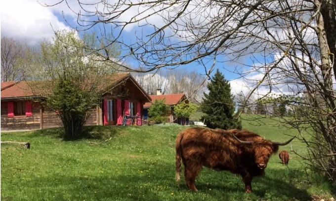 Lent Ski Chalet | Chalet in the heart of nature near a farm with animals