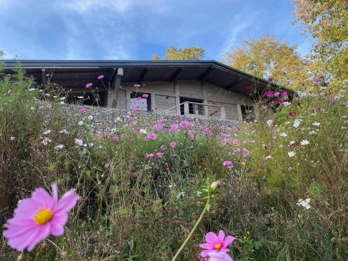 Sapois House | Chalet rénové avec sauna, proche Gérardmer - FR-1-589-796