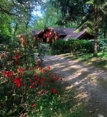 Saint-Priest-sous-Aixe Bed & Breakfast | Chambre d'hôte txaleta (le Chalet)