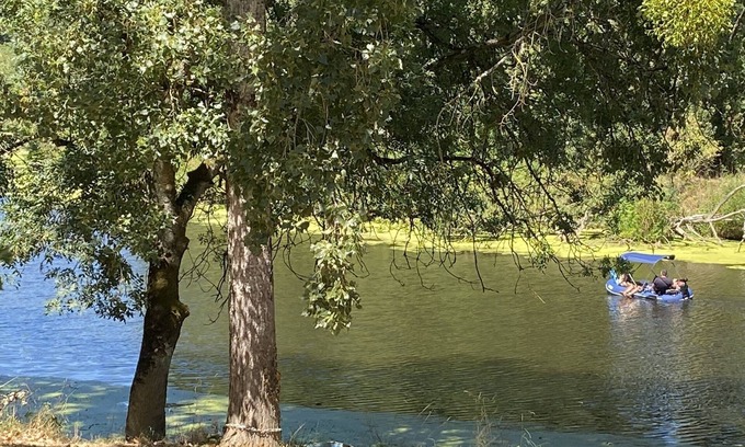 Saint-Fiacre-sur-Maine Bed & Breakfast | Chambre privée Camélia: house with trees facing the river