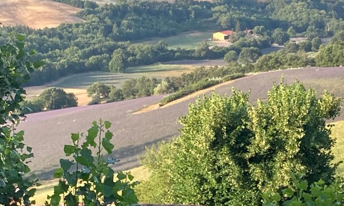 Puimichel Bed & Breakfast | Chambres d’hôtes L’AMANDINE