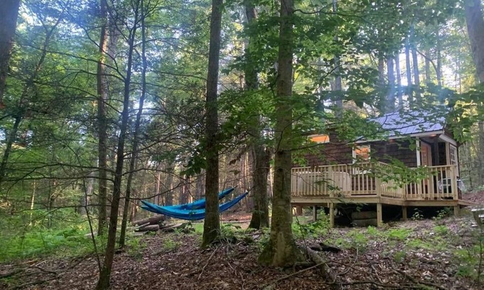 Suches Cottage | Chanterelle Tiny House
