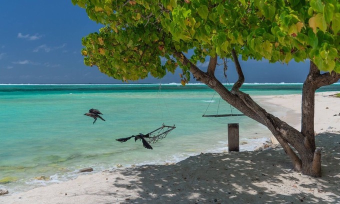Maafushi Bed & Breakfast | Chao Guesthouse Maafushi - Chao Room 02