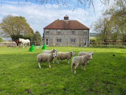 Charlton Bed & Breakfast | Charlton End - Goodwood Events