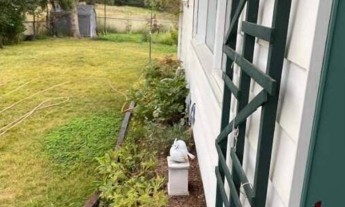 East Kootenay Apartment | Charming 2 bedroom home.🏔