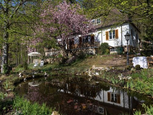 Weissenbrunn Apartment | Charming Apartment in Weißenbrunn near Forest