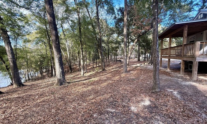Andalusia Cabin | Charming cabin nestled in the woods in Andalusia, AL