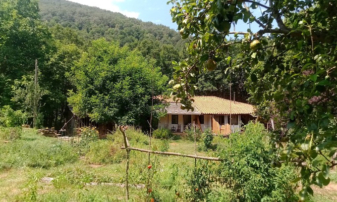 Montoedo Cottage | Charming cottage in the heart of the Ribera sacra