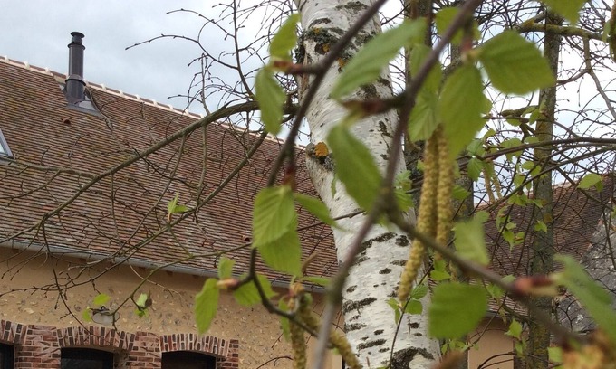 Chauffours House | Charming cottage in the countryside 15 minutes from Chartres and its famous cathedral