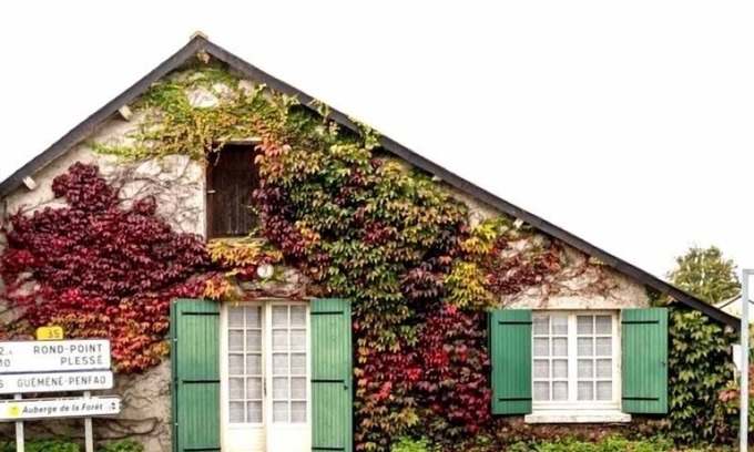 Le Gavre Cottage | Charming Country Home Near Forest with WiFi, Basketball & Table Tennis