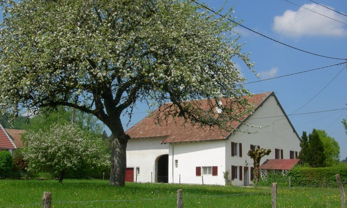 Bourg-de-Sirod House | Charming HOUSE COMTOISE, spacious, large garden, private parking