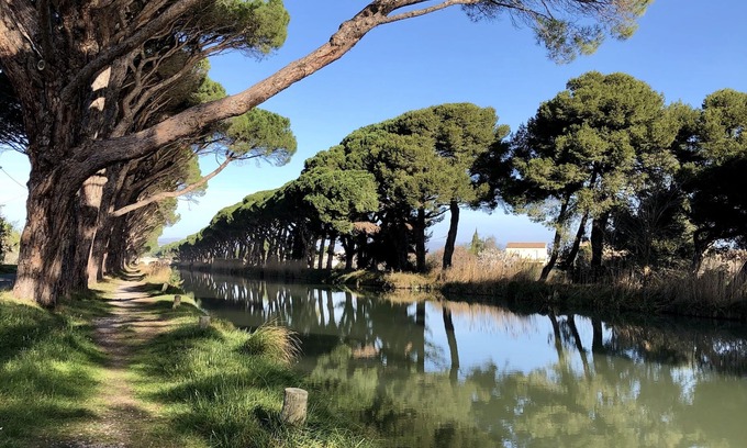 Salleles-d'Aude House | Charming house on Canal du Midi near Narbonne and 30 minutes from the sea