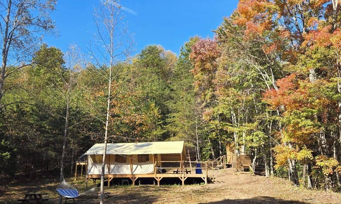 Lenoir Cabin | Charming meadow camp in the forest mountains near fish pond. Events are OK. Pet