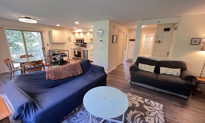 Bromley Mountain Condo | Charming One-Bedroom Condo on Bromley Mountain