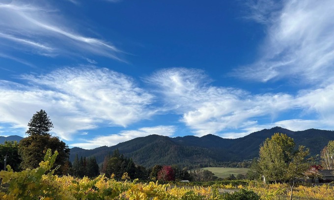 Talent Apartment | Charming stay at Little Hooves Farm & Vineyard