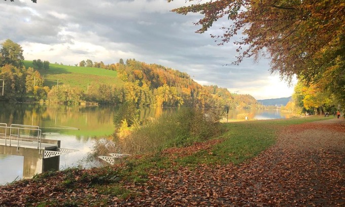 Ebikon Apartment | Charming Studio near Rotsee Lucerne Kitchen, WiFi, Washing machine