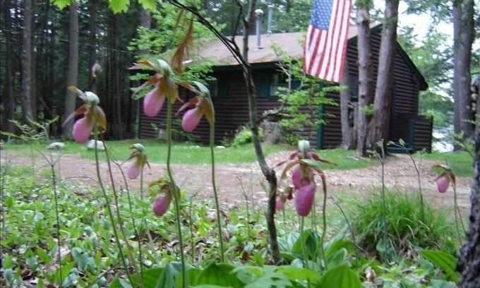 Freeport Cabin | Charming Waterfront Cabin in the Woods