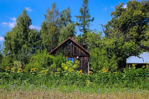 gmina Plesna House | Chata na końcu świata