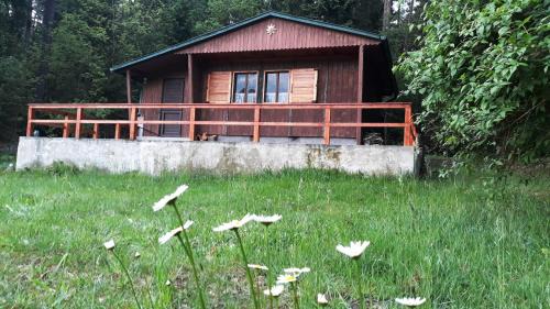 Lisov House | Chata - Na samotě u lesa