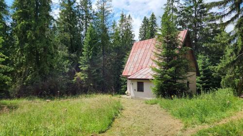 Strba Ski Chalet | Chata u Hagrida