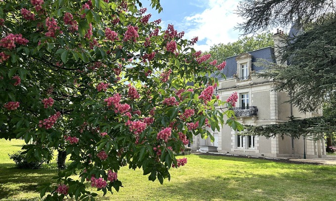 Bouresse Other | Chateau with heated pool, sauna near Poitiers and the vineyards of Chinon
