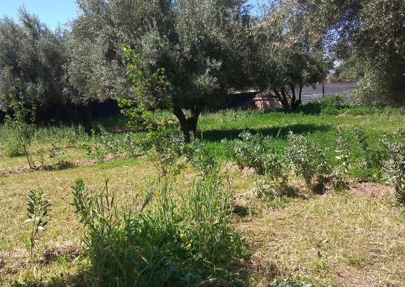 Saada House | Chez Naima et Salah