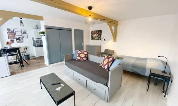 Cret de Roc Apartment | CHIC & COSY Studio BUSINESS Centre GARE NETFLIX