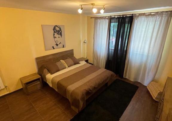 Popesti-Leordeni House | City Garden Escape