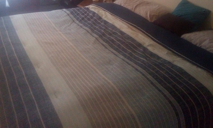 Champaign Apartment | Clean and cozy one bedroom one bath apartment in Champaign Il