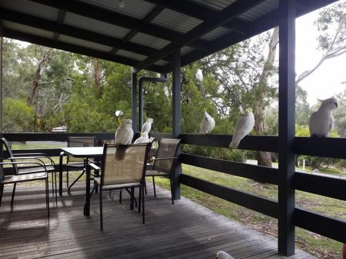 Halls Gap House | Cockatoo Cabin