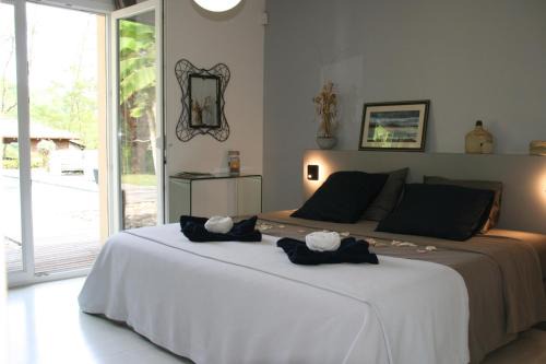 Lusignan-Petit Bed & Breakfast | Cocon de Verdure avec piscine chambre lit king-size 2m