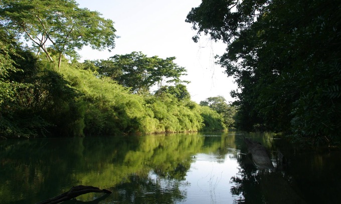 Bullet Tree Falls House | Cohune Palms River Cabanas: Private river cabanas just 2.5 mi from San Ignacio