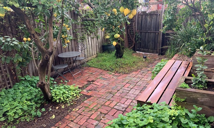 Collingwood North House | Collingwood workers cottage with courtyard garden, close to everything!